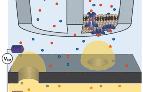 Ion Channel Probe-SICM