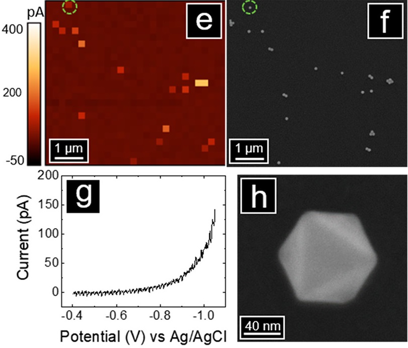 Single-Entity Nanoparticle SECCM